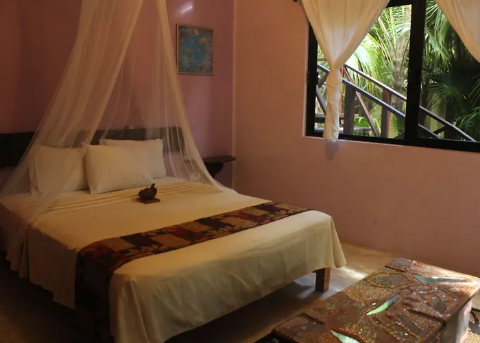 Nueva Vida De Ramiro Tulum