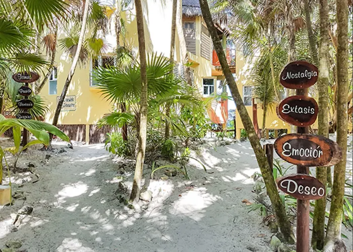Hotel Nueva Vida De Ramiro