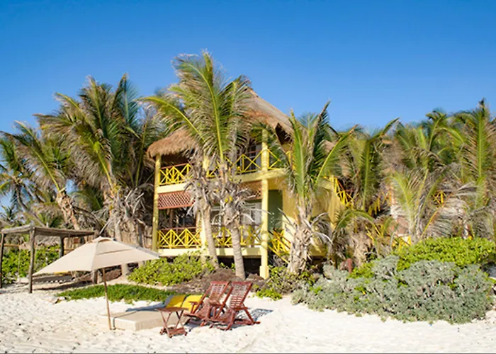 Nueva Vida De Ramiro Tulum