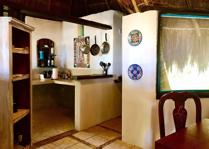 Nueva Vida De Ramiro Tulum