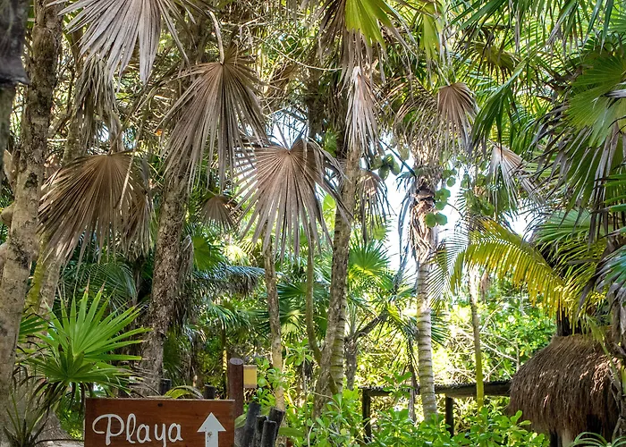 Nueva Vida De Ramiro Hotel Tulum